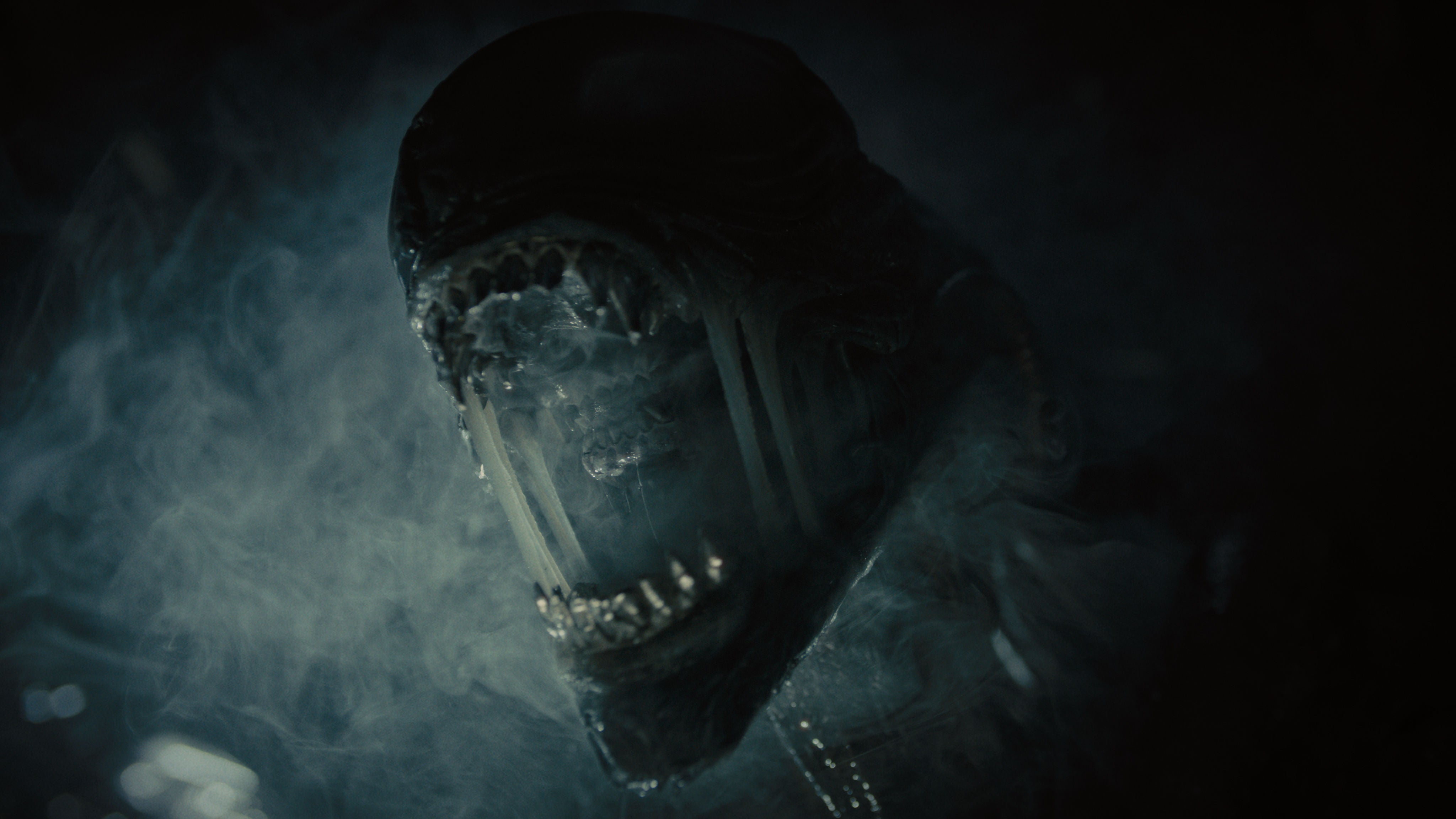 leonine-4k-uhd-alien-romulus-film-4k-uhd-blu-ray-horror image 3