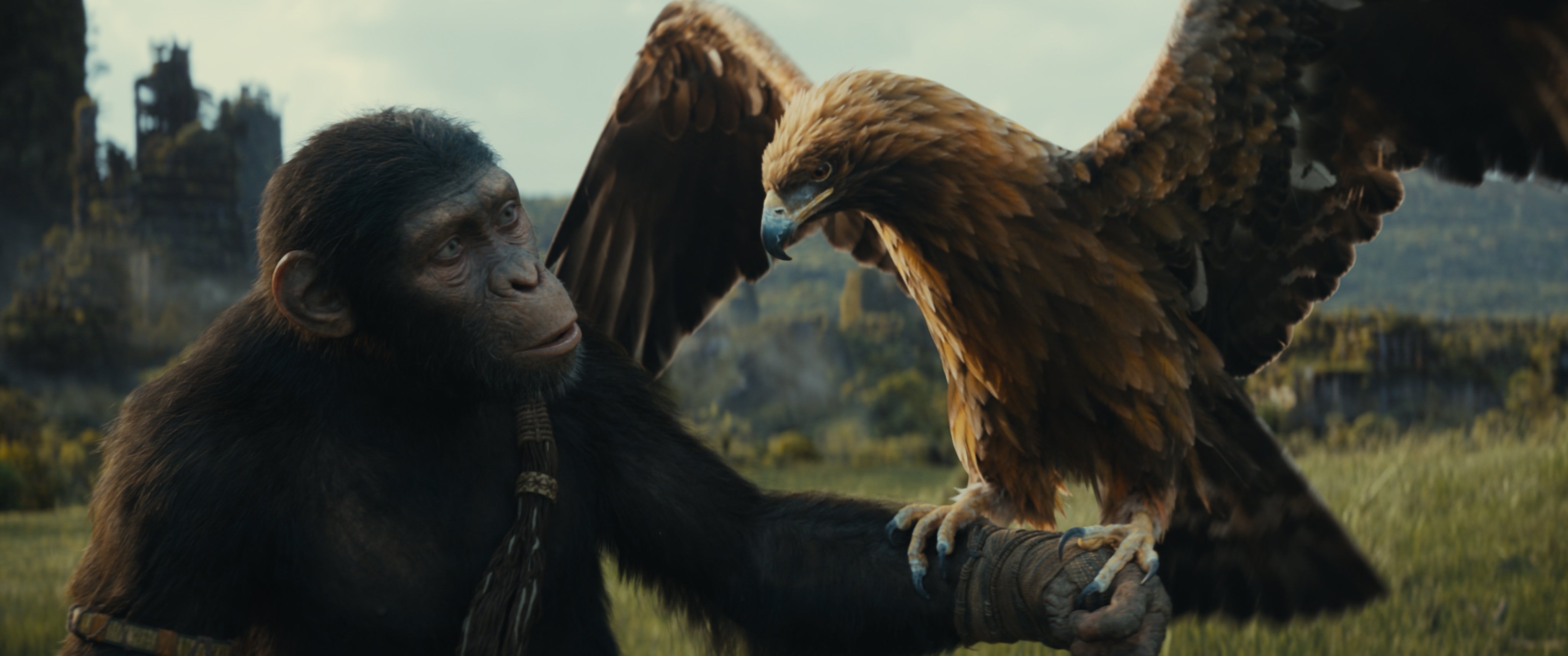 leonine-planet-der-affen-new-kingdom-4k-uhd-blu-ray-film image 3