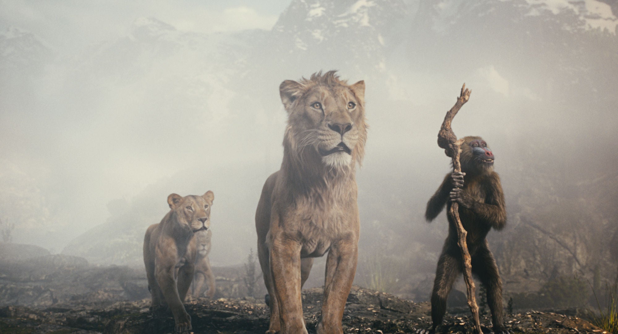 leonine-studios-k-nig-der-l-wen-mufasa-blu-ray-film-live-action image 4
