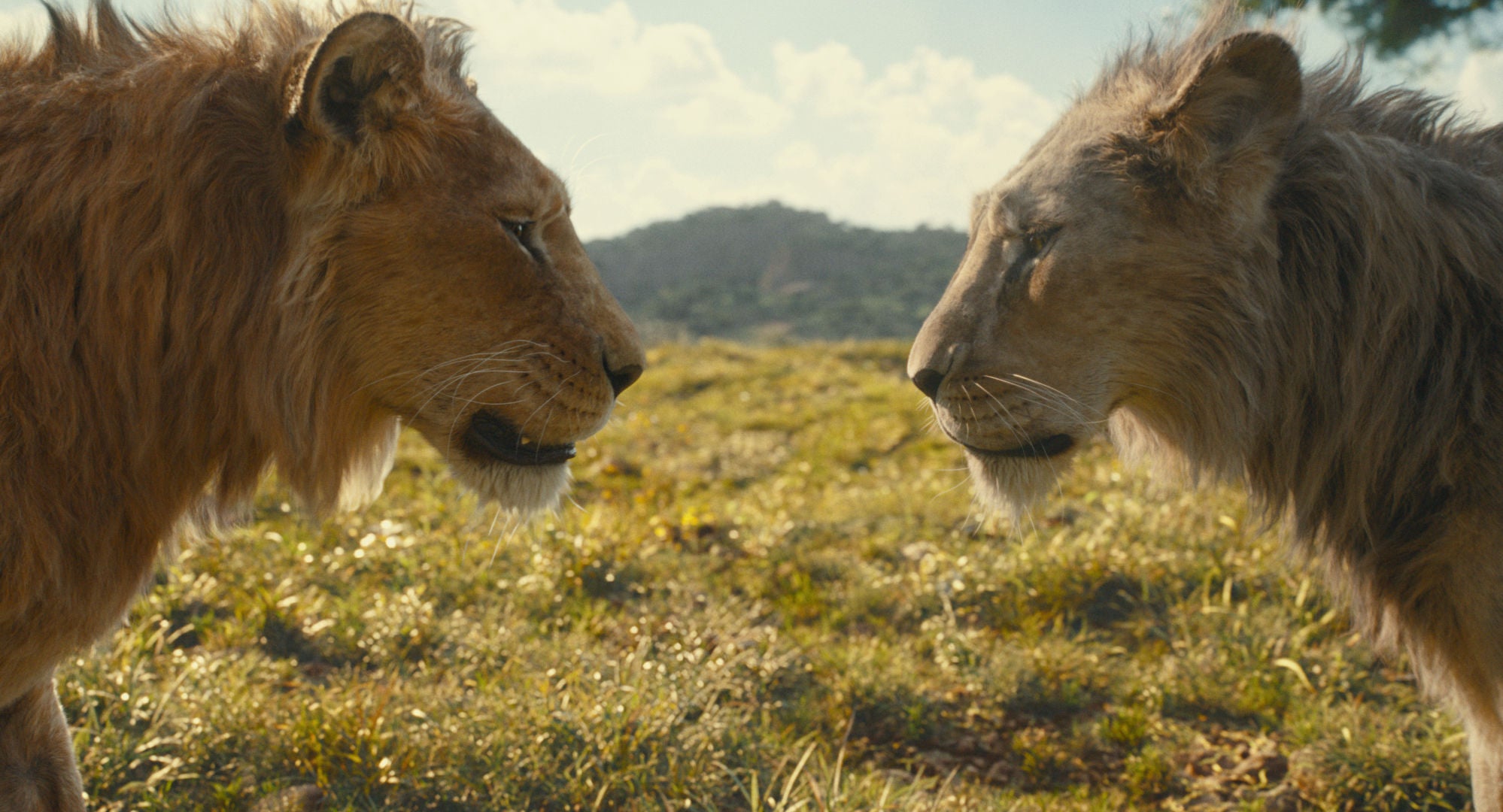 leonine-studios-k-nig-der-l-wen-mufasa-blu-ray-film-live-action image 8