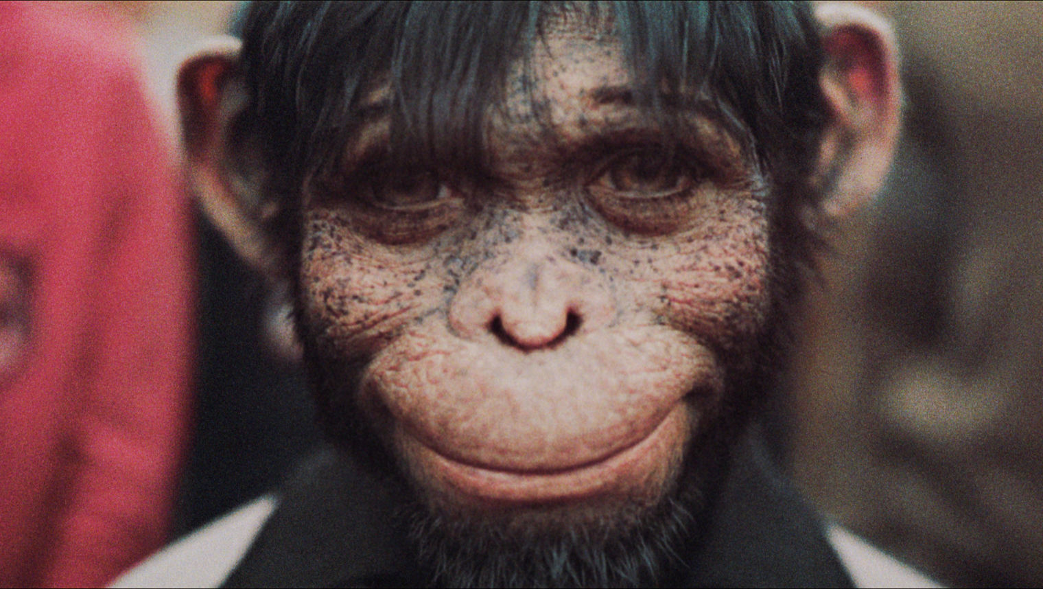 leonine-studios-better-man-4k-uhd-blu-ray-musikfilm image 6
