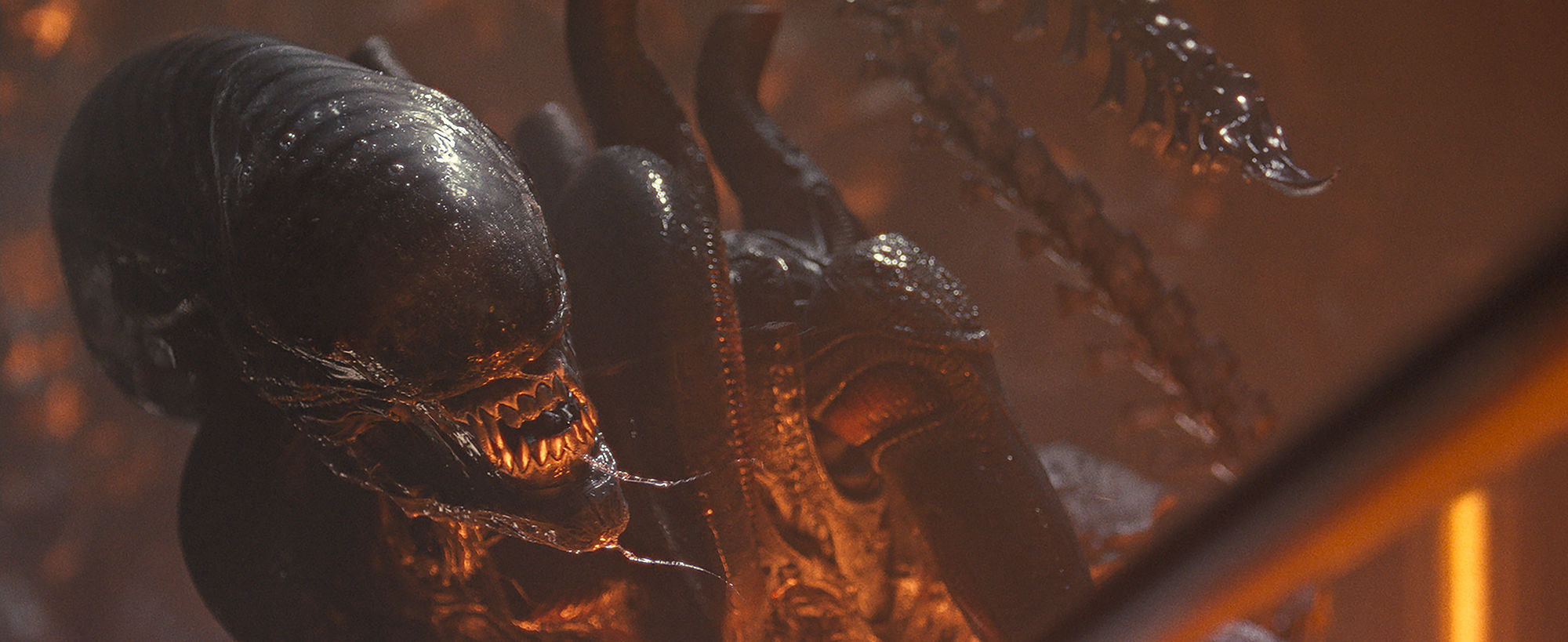 leonine-4k-uhd-alien-romulus-film-4k-uhd-blu-ray-horror image 8