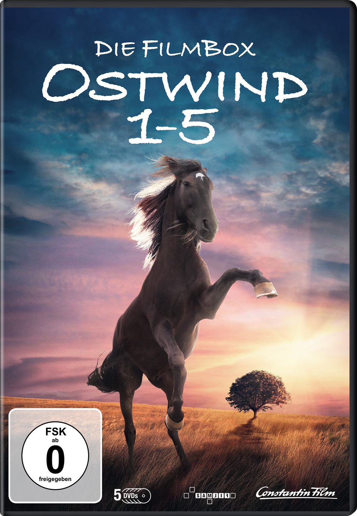 leonine-ostwind-1-5-dvd-box-pferdefilme-familie image 1