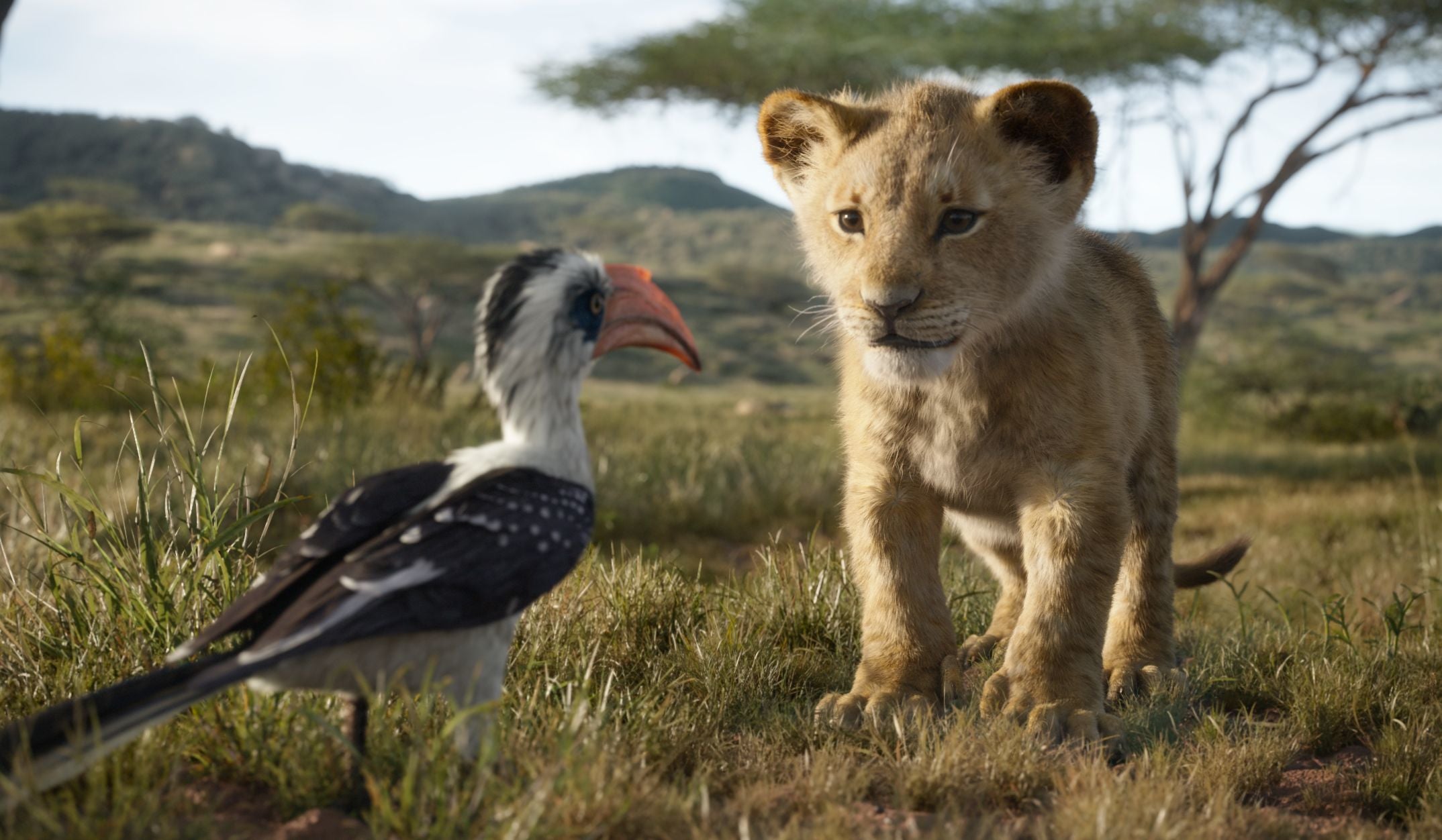 disney-k-nig-der-l-wen-mufasa-dvd-box-live-action image 4