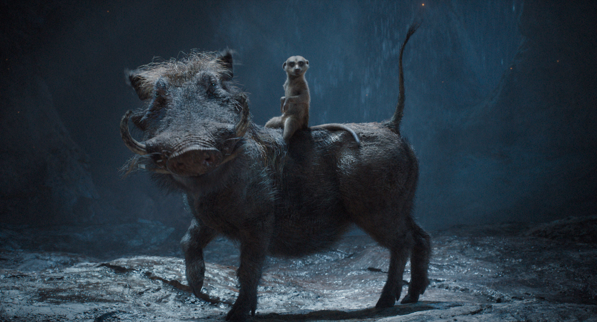leonine-studios-k-nig-der-l-wen-mufasa-blu-ray-film-live-action image 3