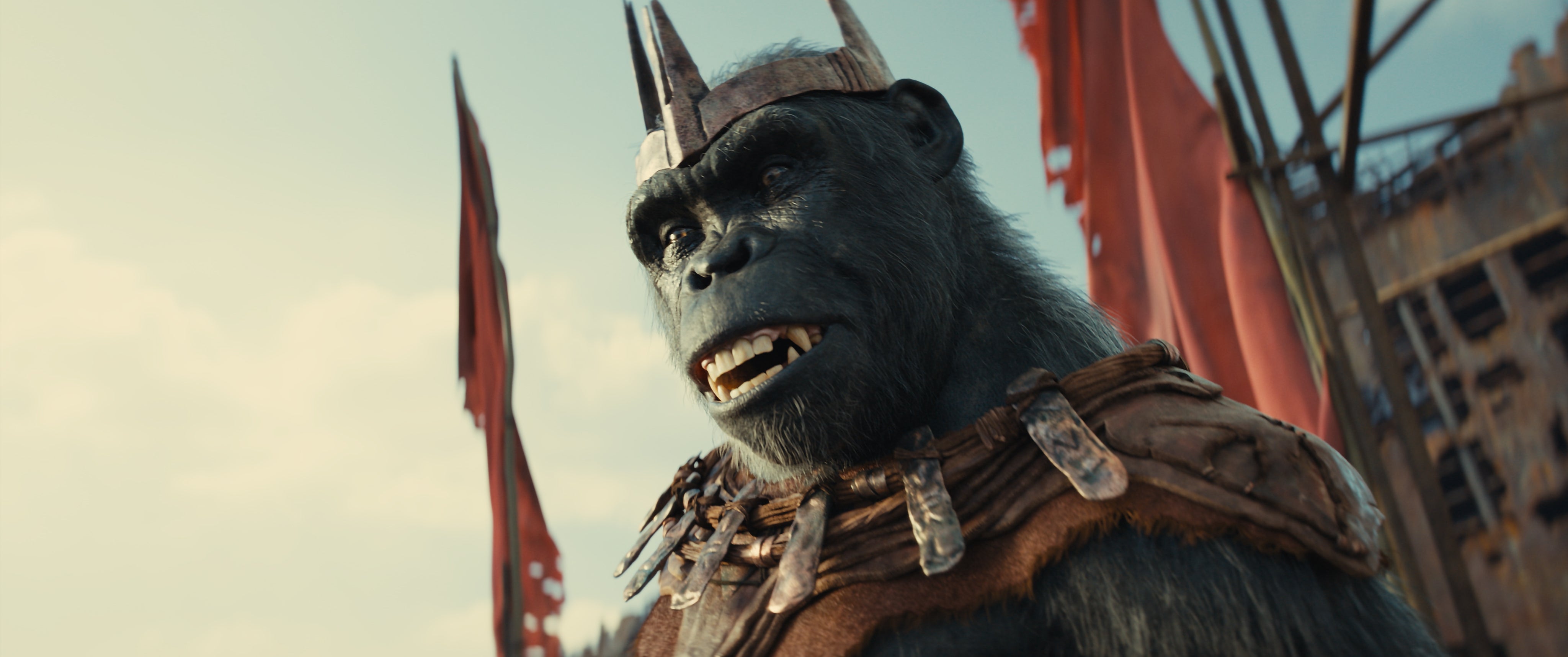 leonine-planet-der-affen-new-kingdom-4k-uhd-blu-ray-film image 5