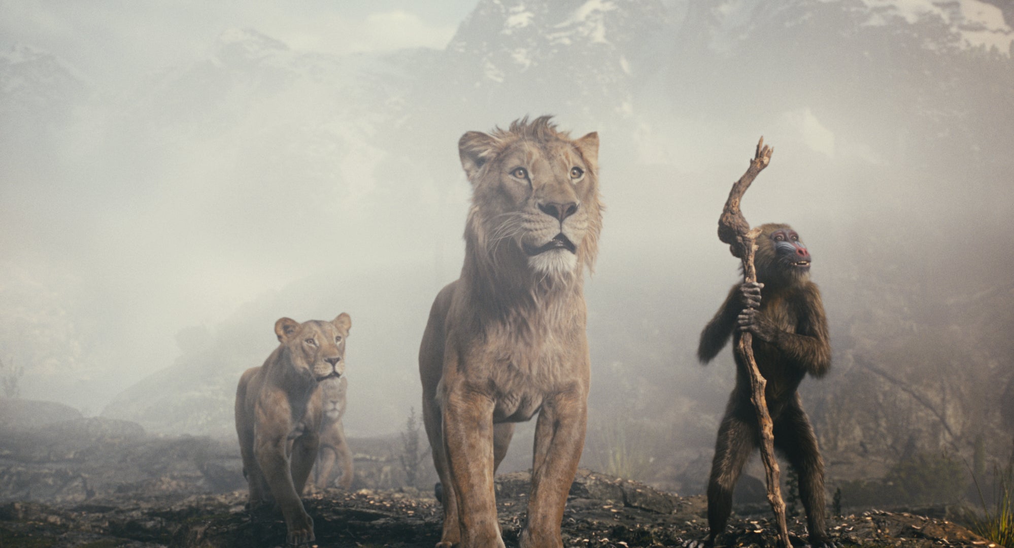 mufasa-k-nig-der-l-wen-steelbook-4k-uhd-blu-ray-disney image 8