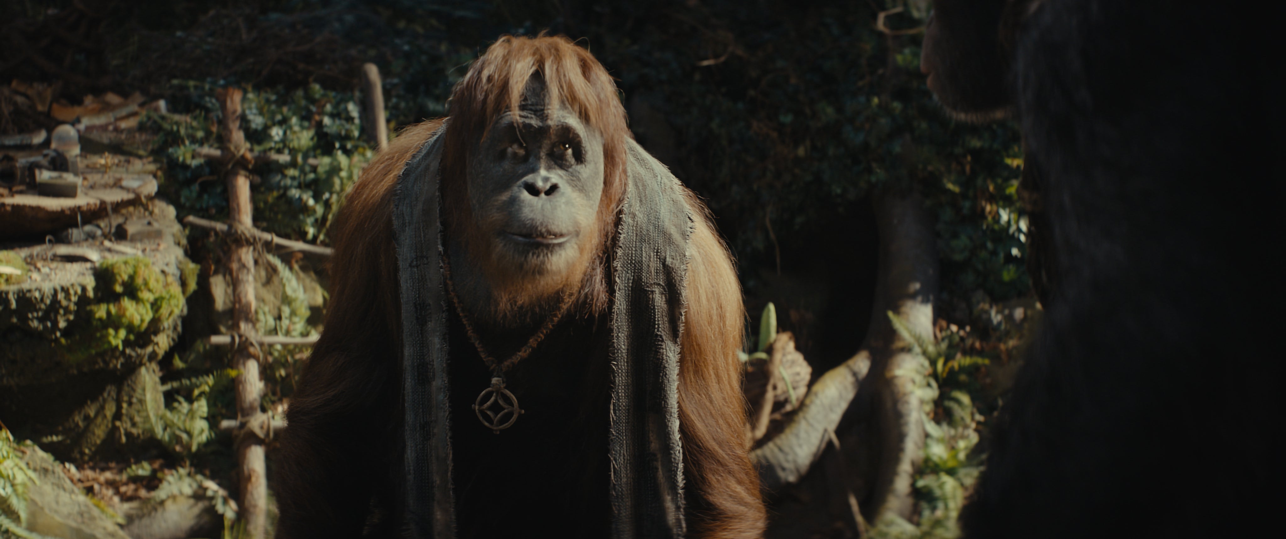 leonine-planet-der-affen-new-kingdom-4k-uhd-blu-ray-film image 4