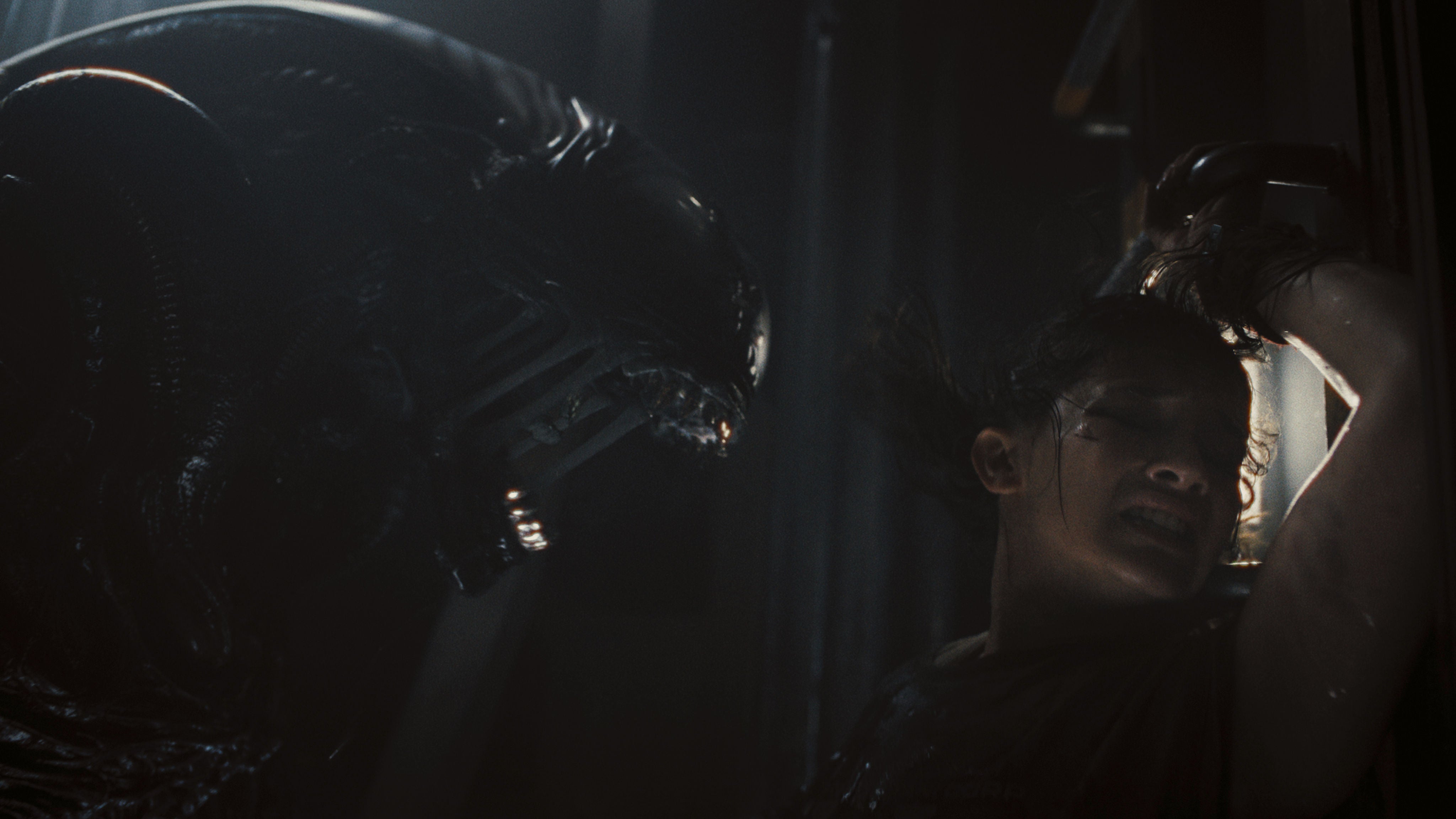 leonine-4k-uhd-alien-romulus-film-4k-uhd-blu-ray-horror image 6