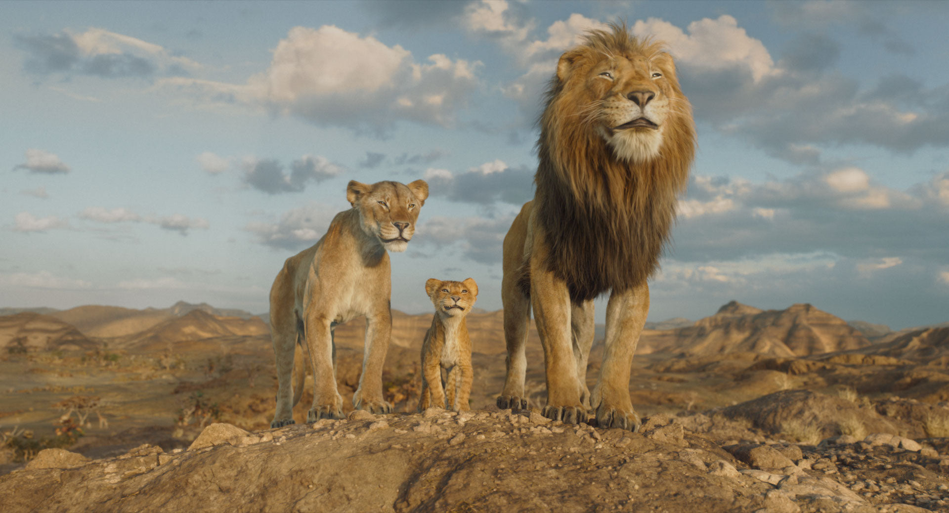 mufasa-k-nig-der-l-wen-steelbook-4k-uhd-blu-ray-disney image 3