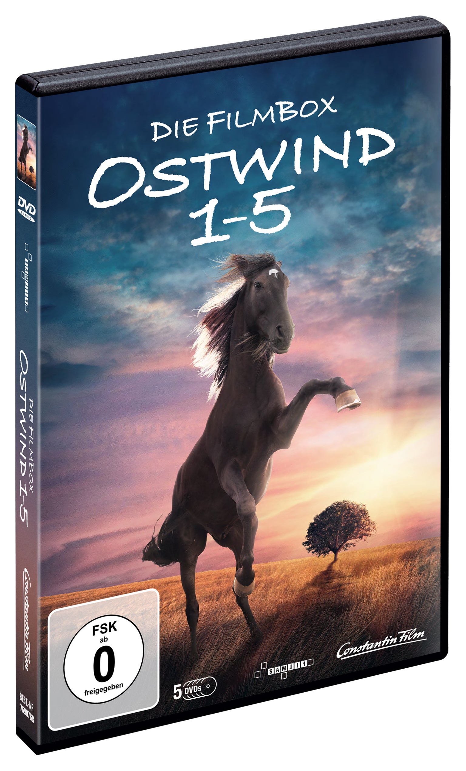 leonine-ostwind-1-5-dvd-box-pferdefilme-familie image 2