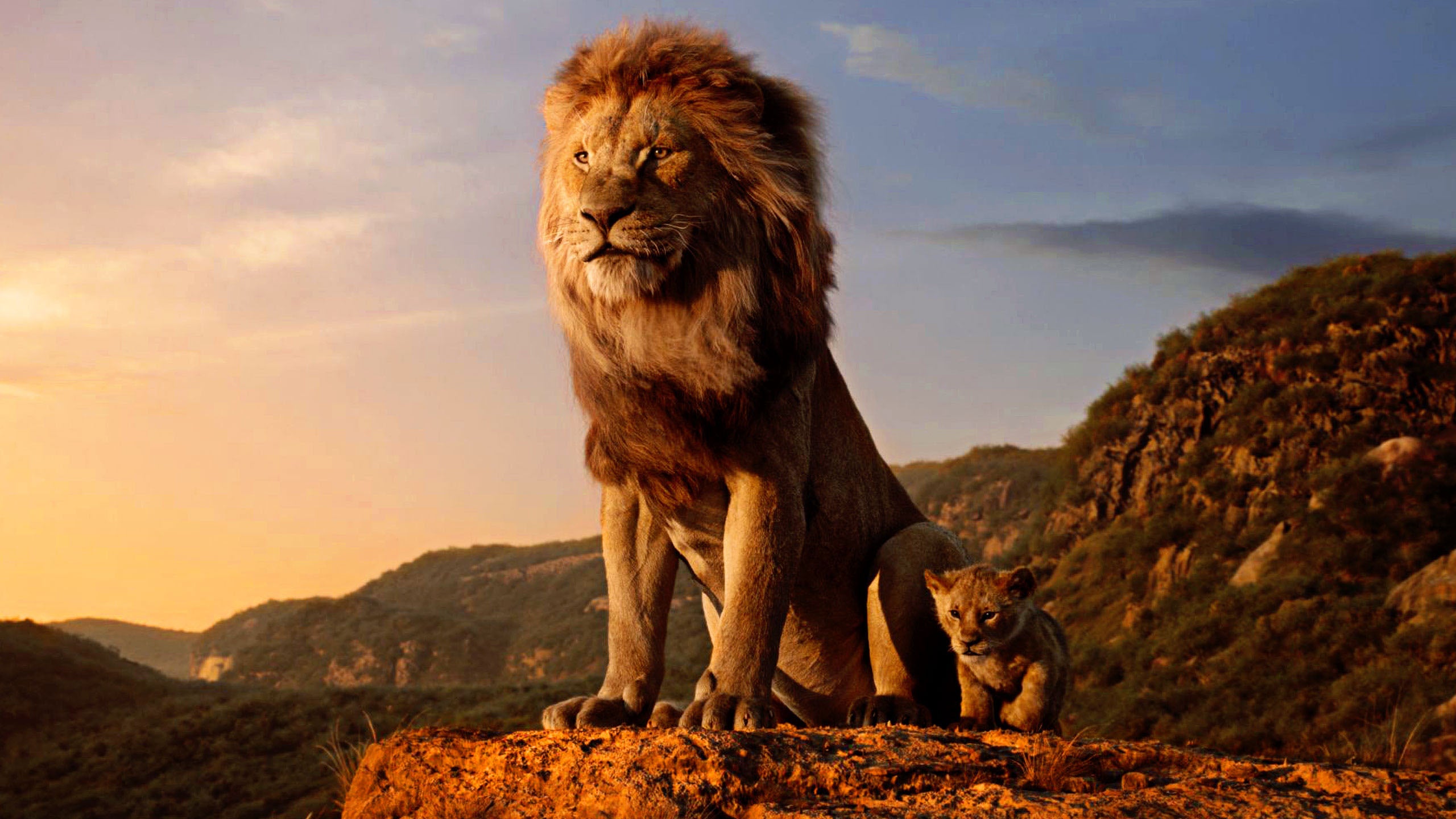 der-k-nig-der-l-wen-2019-4k-uhd-blu-ray-disneyfilm image 7