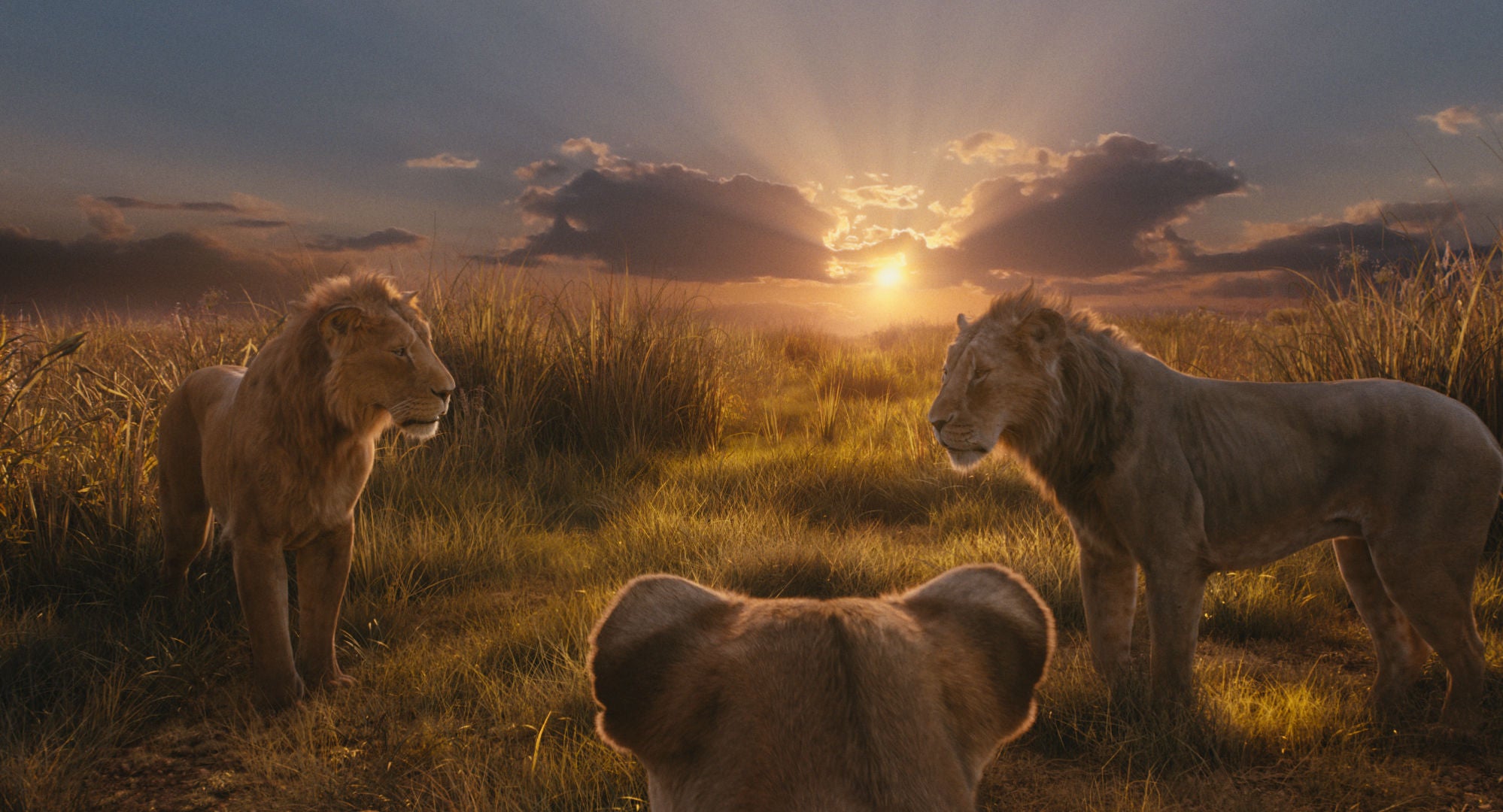 leonine-studios-k-nig-der-l-wen-mufasa-blu-ray-film-live-action image 7